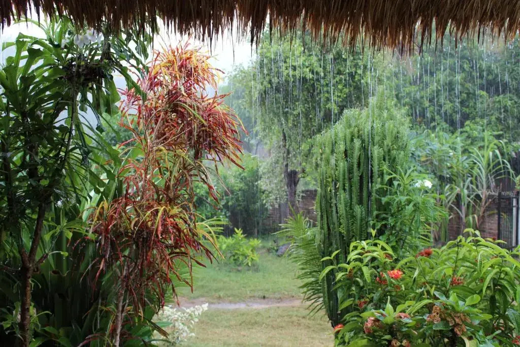 Serahs Homestay