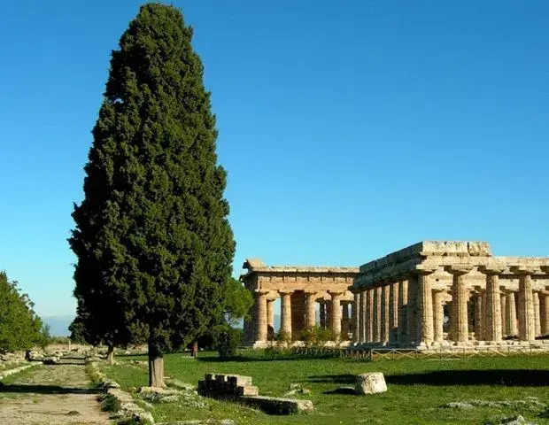 Ville E Appartamenti Paestum