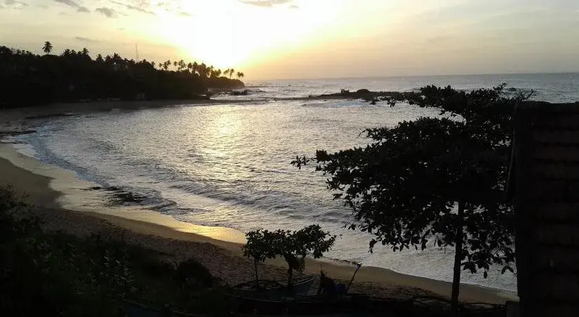 Freedom City Resort
