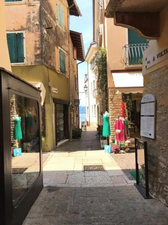 VICOLOVOLTA16