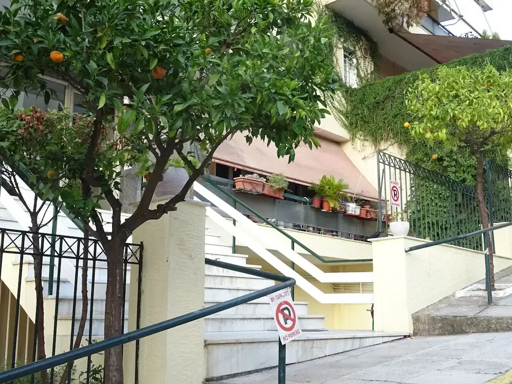 Nice & Cool Studio near Katechaki Avenue