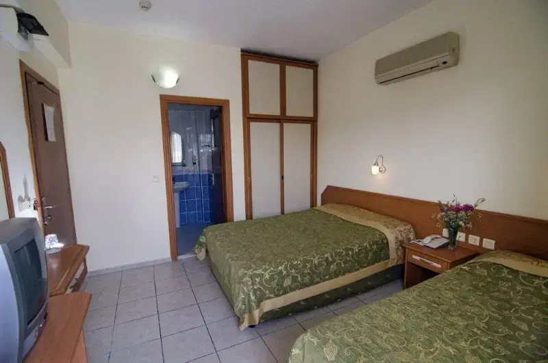 Guler Hotel	