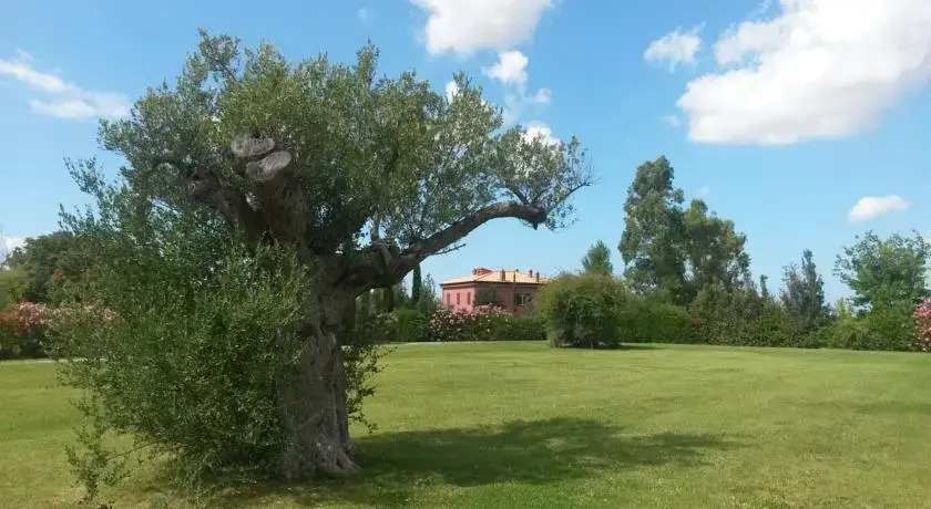 Pelagone