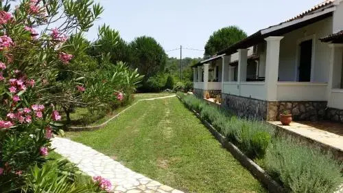 Lemontree Apartments