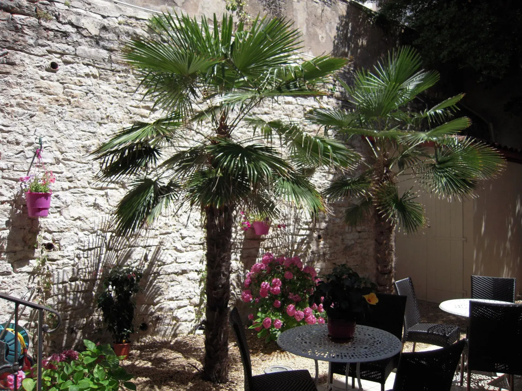 Alfred Hotels Port-Vieux