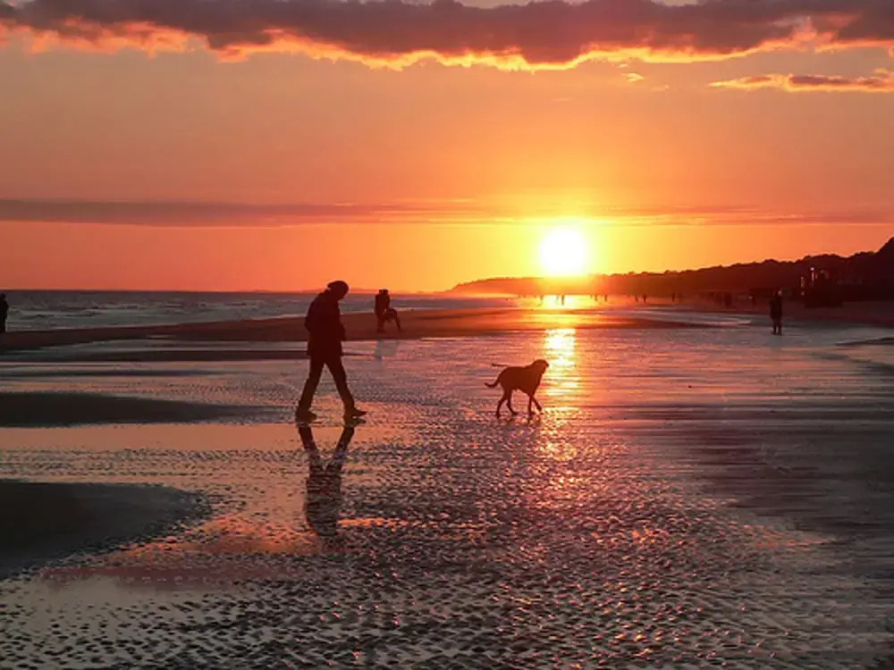 Beachwalk