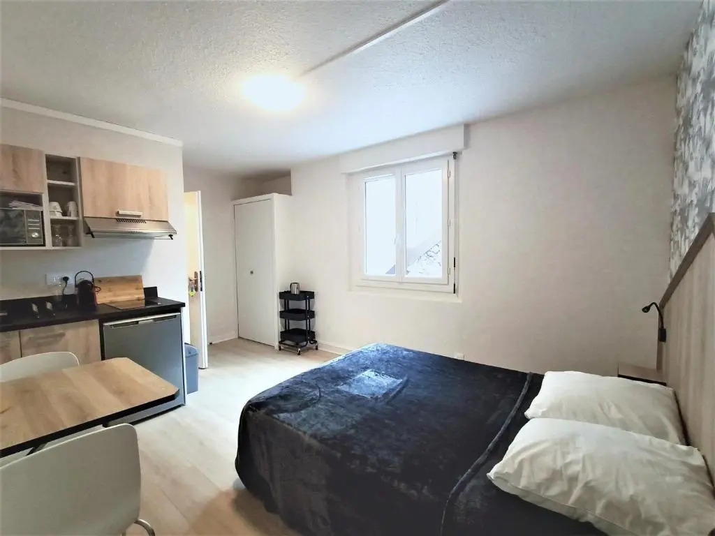 Studio Aix-les-Bains, 1 pièce, 2 personnes - FR-1-555-50