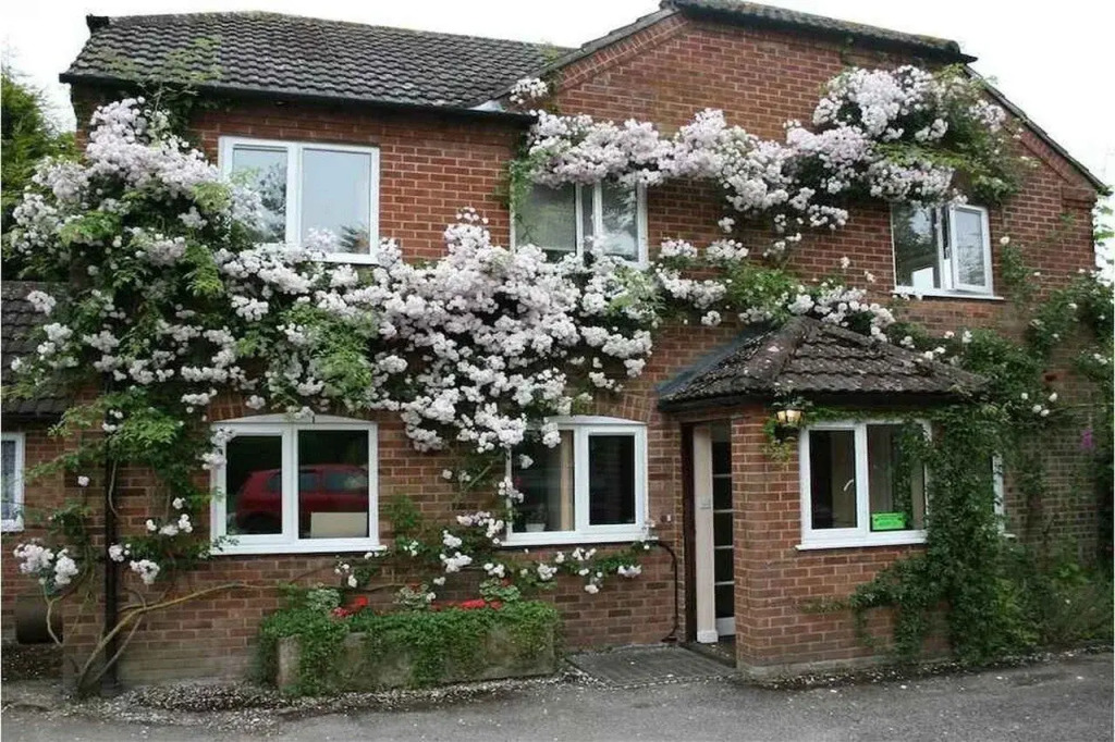 The Royal Oak