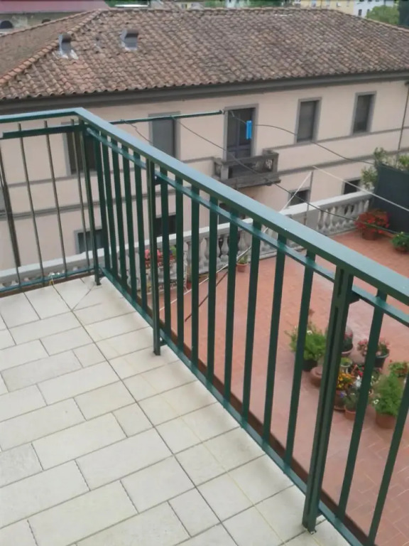 Elvisia
