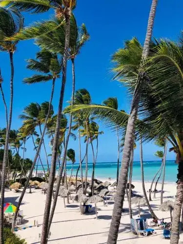 SUITES SOL DEL SUN Caribbean HOTEL BEACH CLUB & SPA