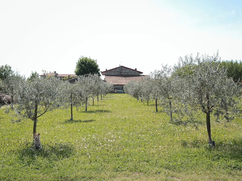 Villa Bongiovanni