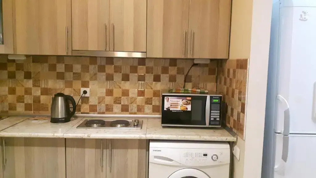 Apartment on Aleksandr Pushkin Street