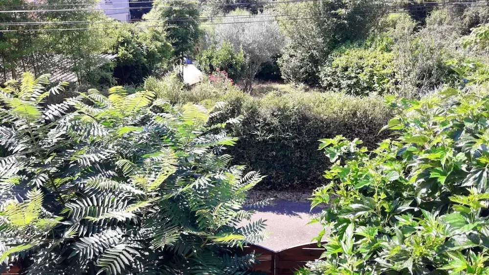 Apartment With 2 Bedrooms in Toulouse, With Shared Pool, Furnished Balcony and Wifi - 168 km From the Beach