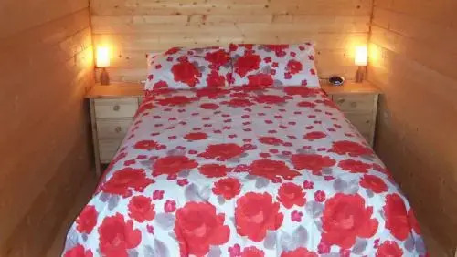 The Cabin with the View (Adults Only)