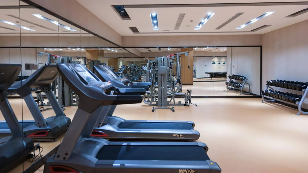 Holiday Inn Nanjing Xuanwu Lake by IHG