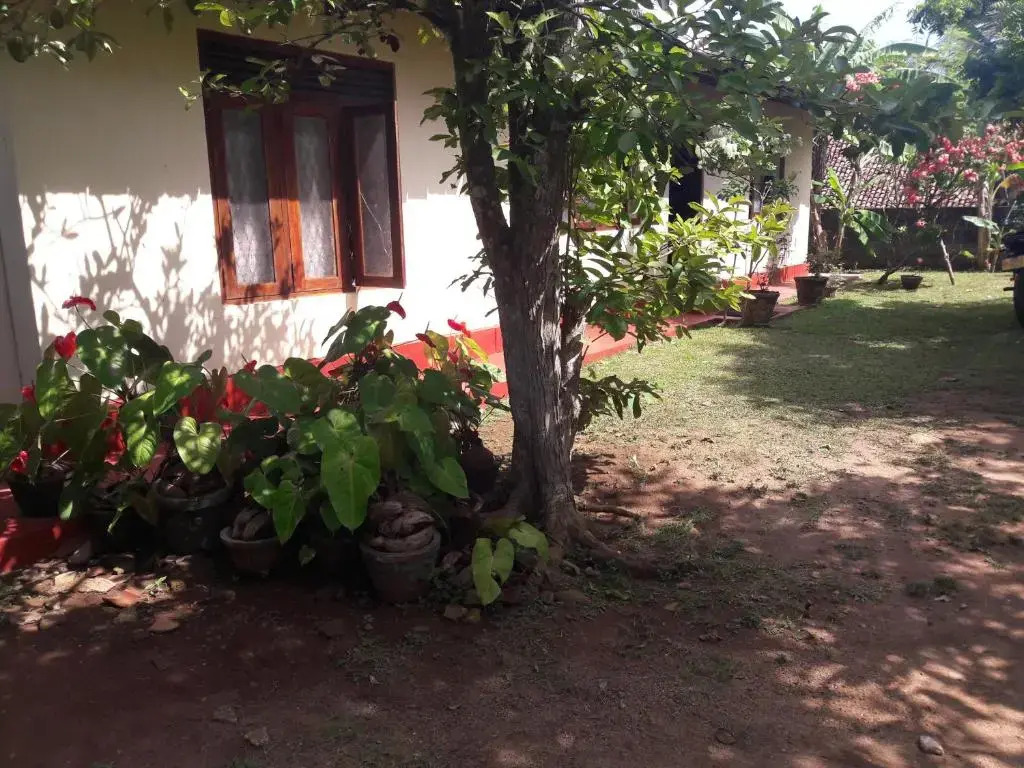 Pradeepa house