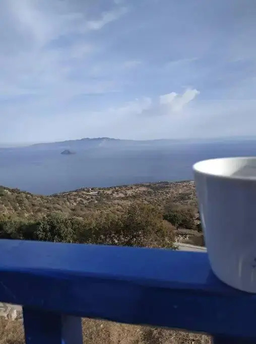 Emporios Traditional Sea View House