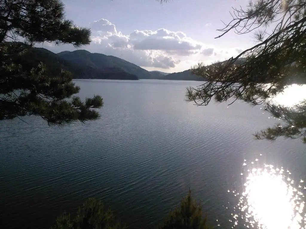 Montesanto 116