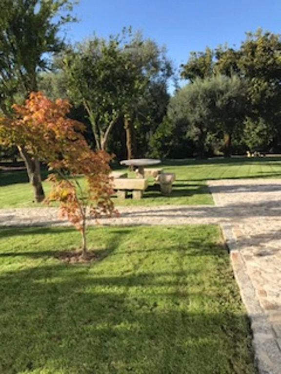 House With 5 Bedrooms in Barcelos, With Wonderful Mountain View, Pool