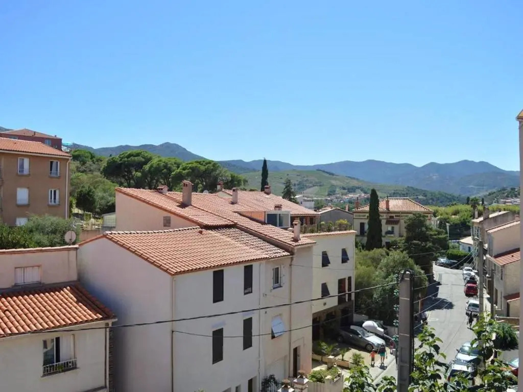 Appartement Banyuls-sur-Mer, 1 pièce, 6 personnes - FR-1-225C-564