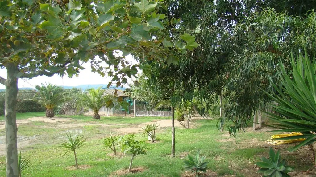 Masia Rural Can Ribes