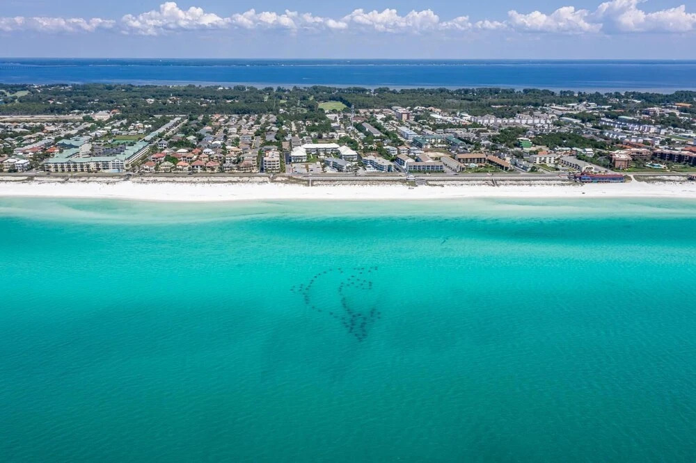 Sandprints C3- Sunny Daze, Miramar Beach