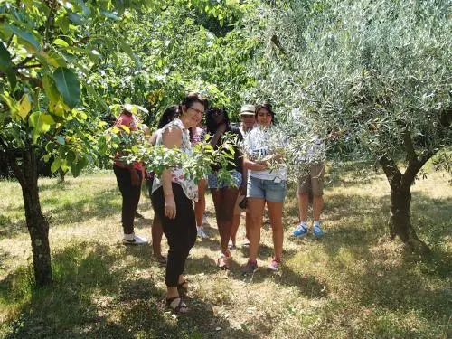 Farm stay Domačija Butul