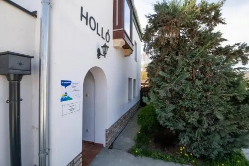 Holl Panzi