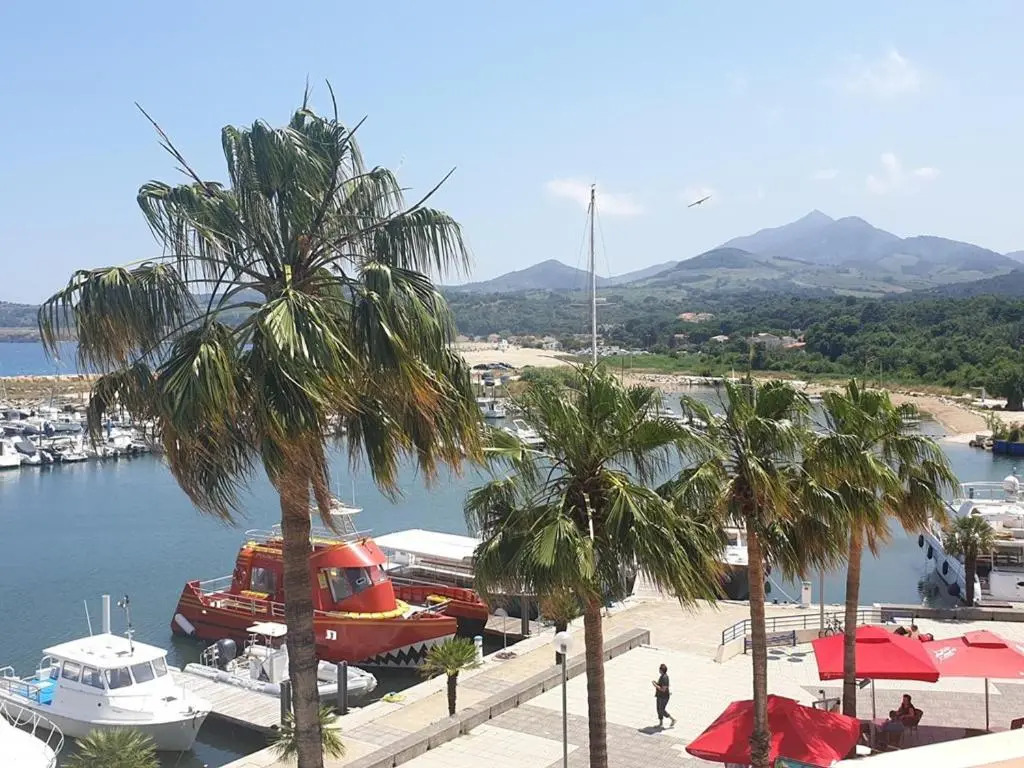 Appartement Argelès-sur-Mer, 2 pièces, 6 personnes - FR-1-388-51