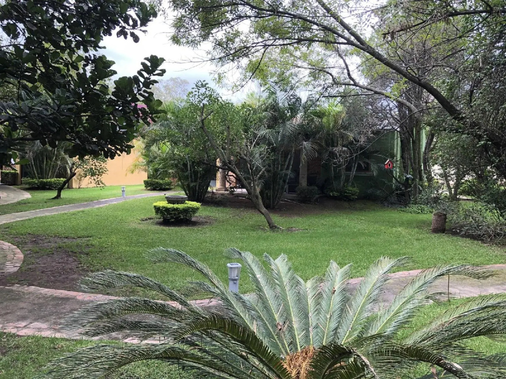 El Jardín De En Medio