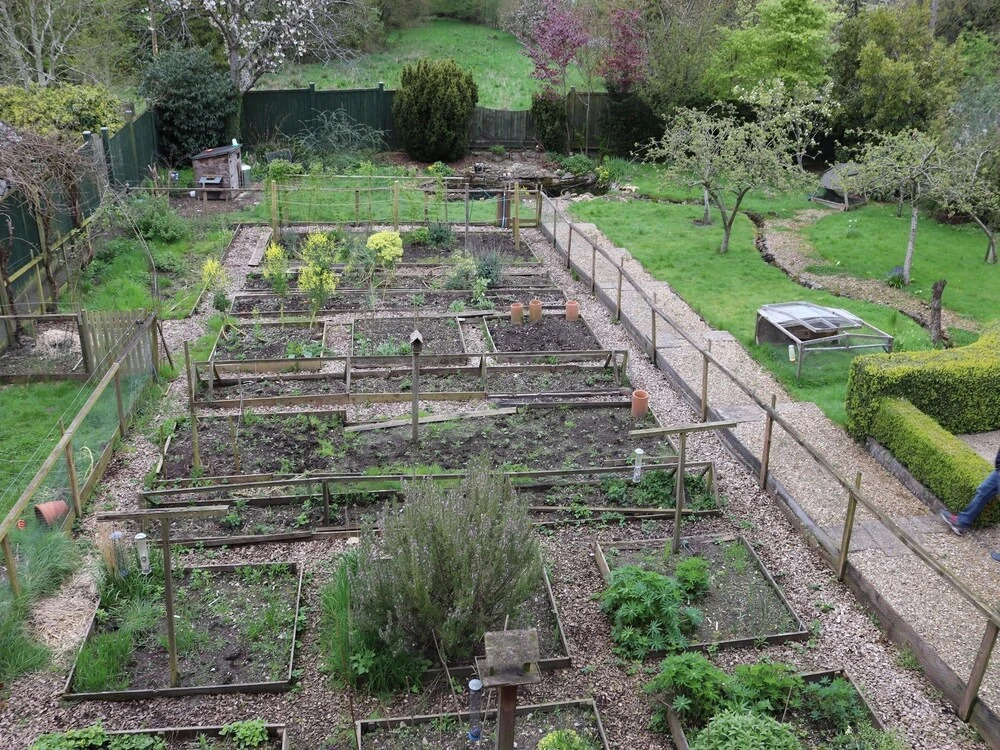Black Dog Farm