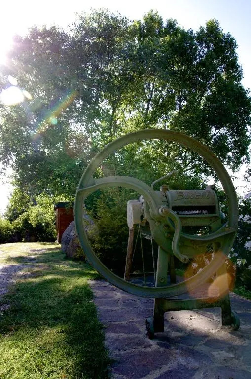 Podere Pinzicalari