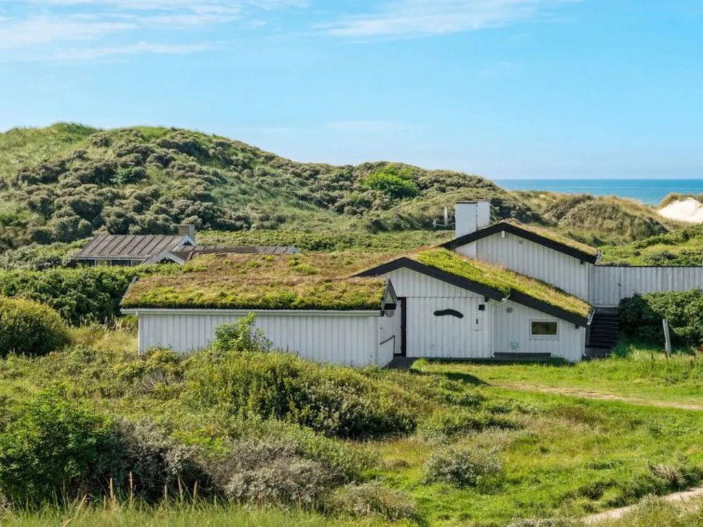 "Alvina" - 45m from the sea in NW Jutland