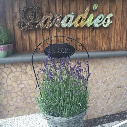Hotel Haus am Rebstock