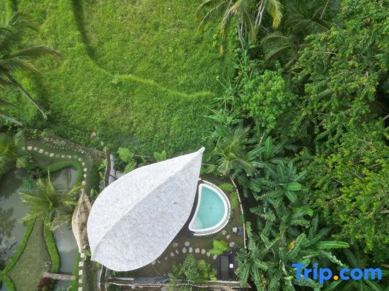 JinengBali Eco Lodge