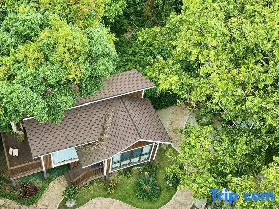 The Forest B&Bs