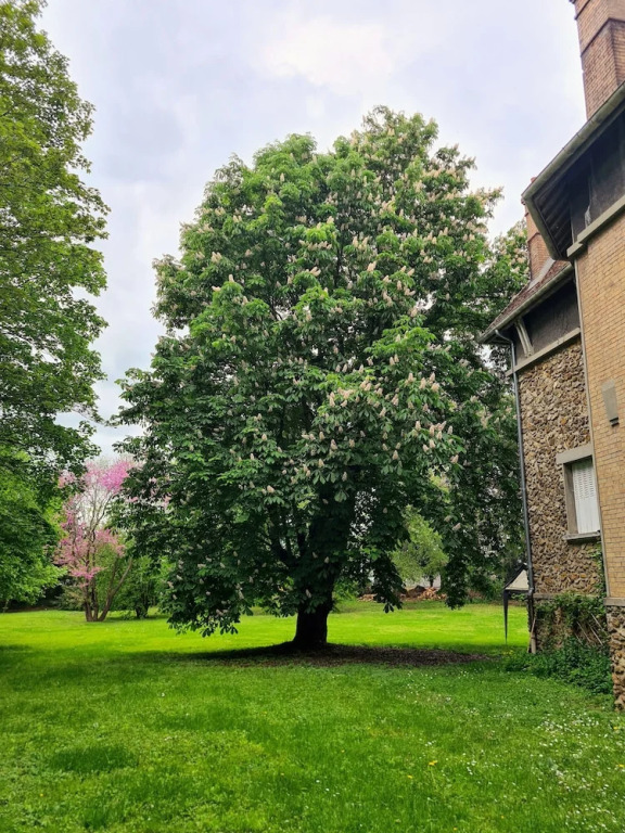 Demeure du Saule Madame