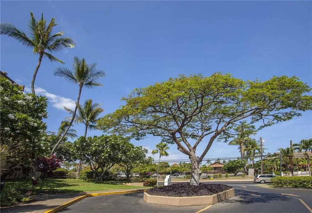 Maui Vista 3202