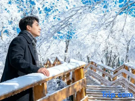 Yunshang Grassland·Anji Jiyi Starry Sky Pool Linxi Hot Spring Holiday Home