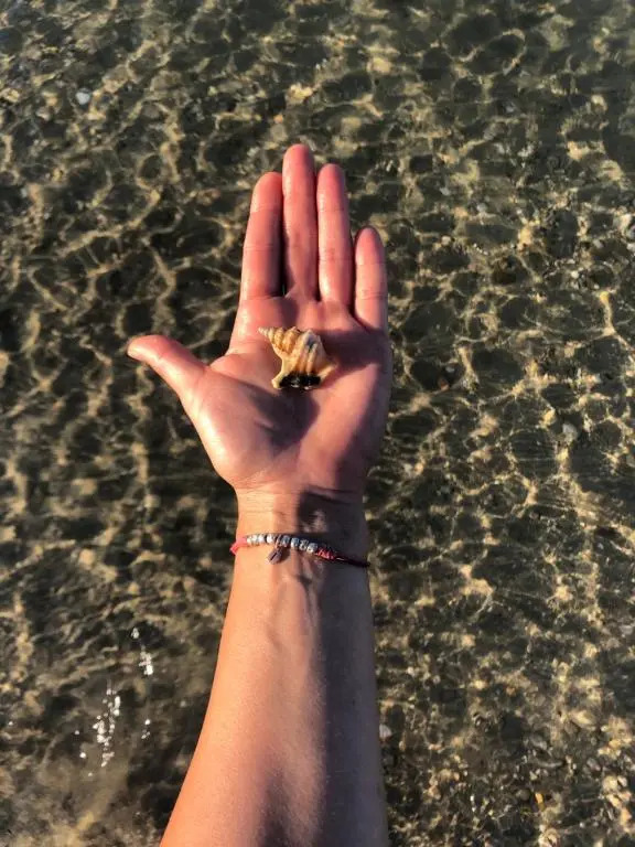 Appartamento mare Marche