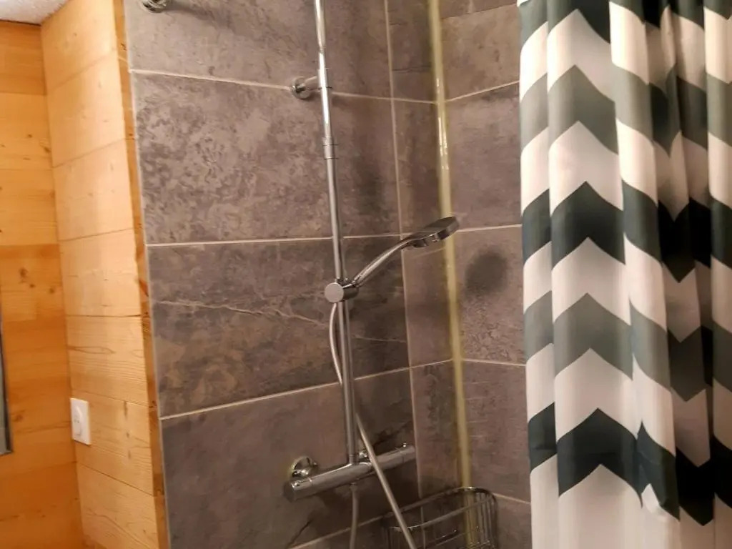 Appartement Les Deux Alpes, 2 pièces, 4 personnes - FR-1-516-154