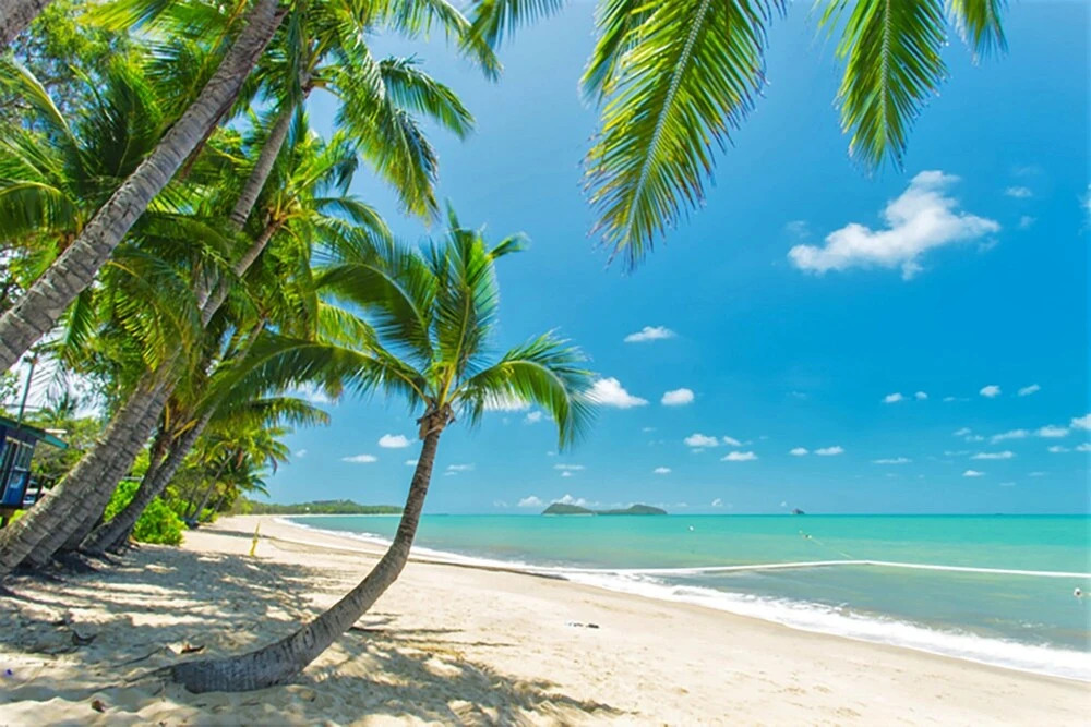Oceanfront Breeze with Ultimate Beach Views 5