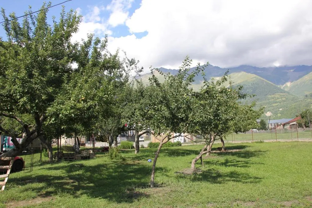 Mountain Star in Mestia