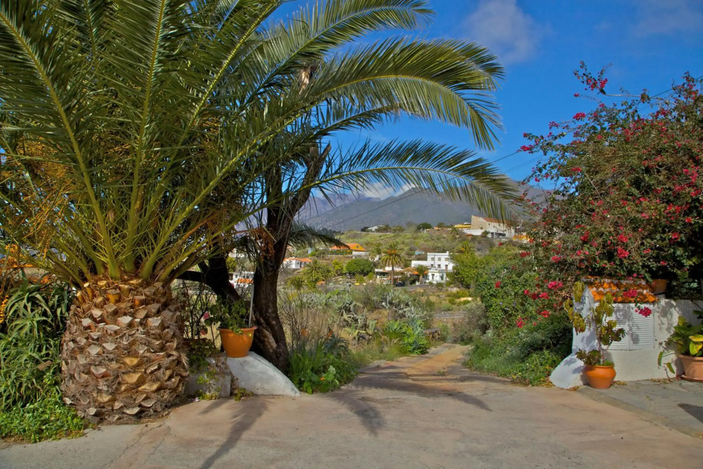 Casa Flores