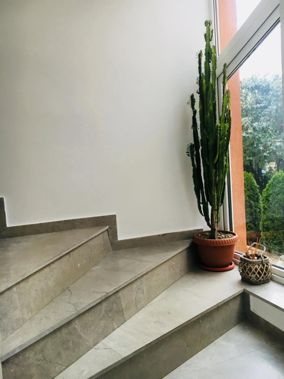 Bruno Apartment