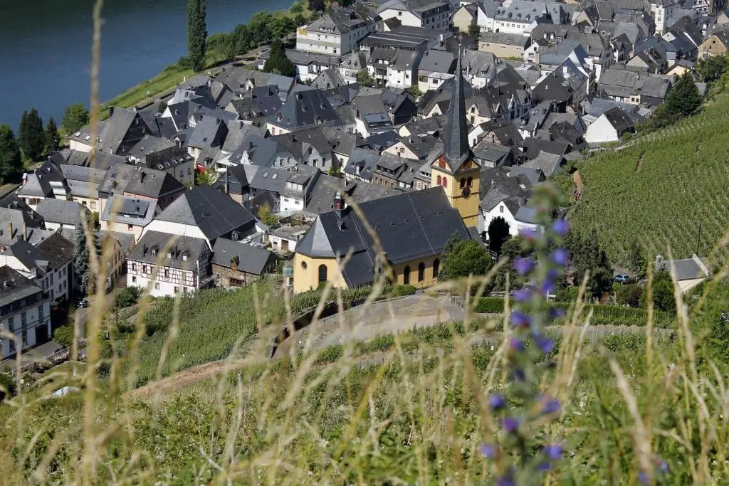 Ferienhaus Moselblick mit kostenfreien ÖPNV-Ticket