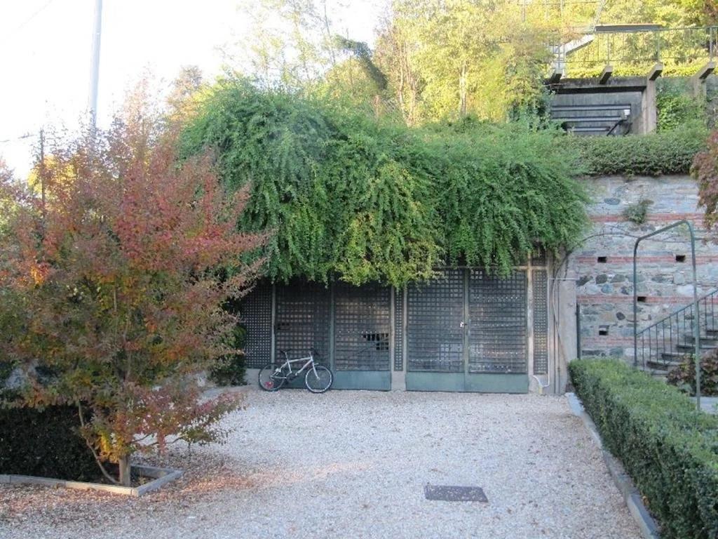 Vigna Il Merlo