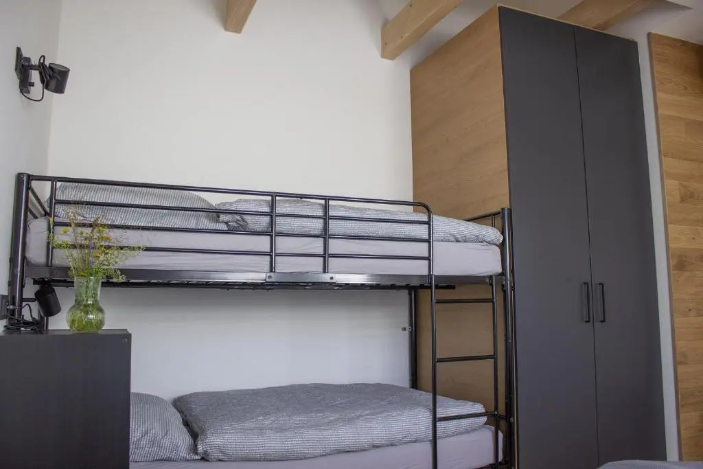 Enjoy Harrachov - Atraktivní klidný klimatizovaný apartmán 20 v centru Harrachova, parkováním s wallboxem EV, Wifi, herní konzolí, Ipad, Netflix, výhledem do zahrady a na romantický kostelík