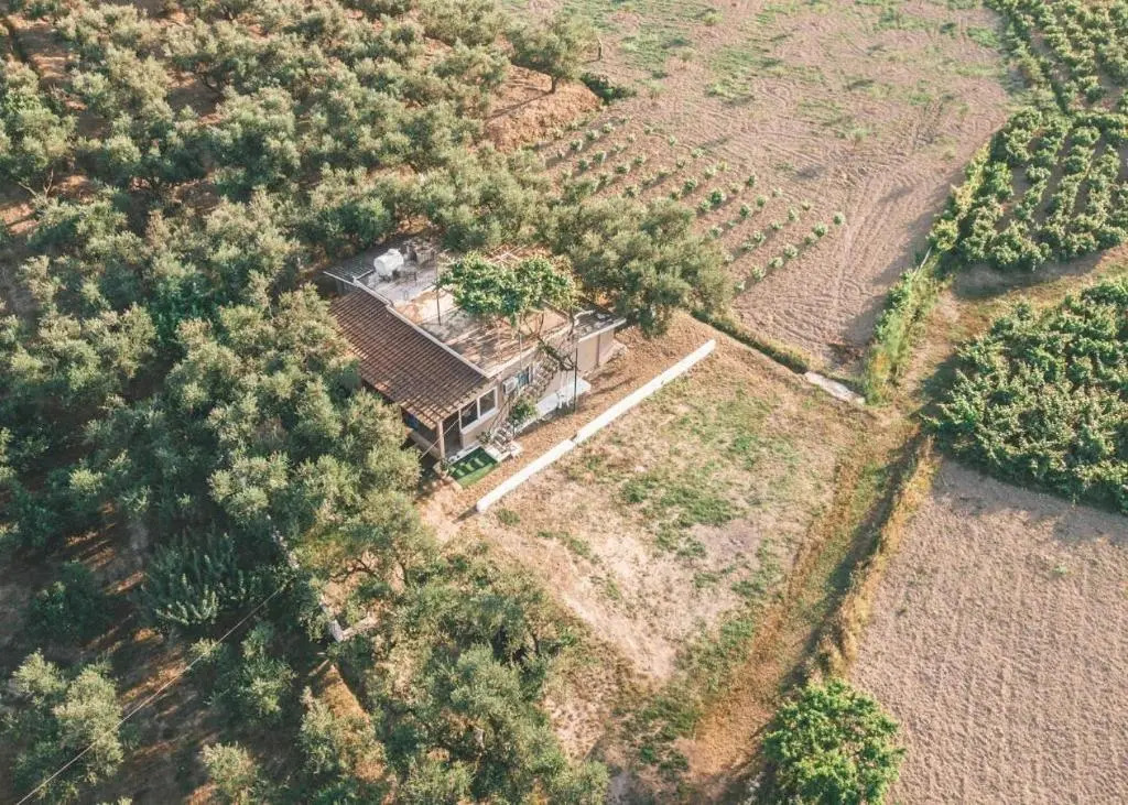 The Mills House
