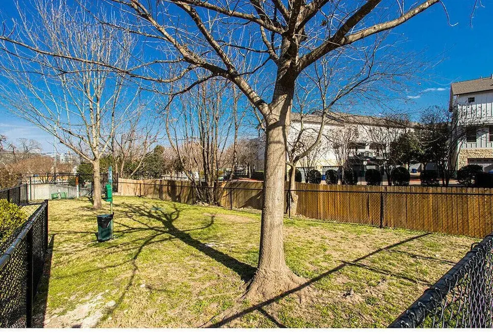 Convenient Condo Near Zilker & Barton Springs!
